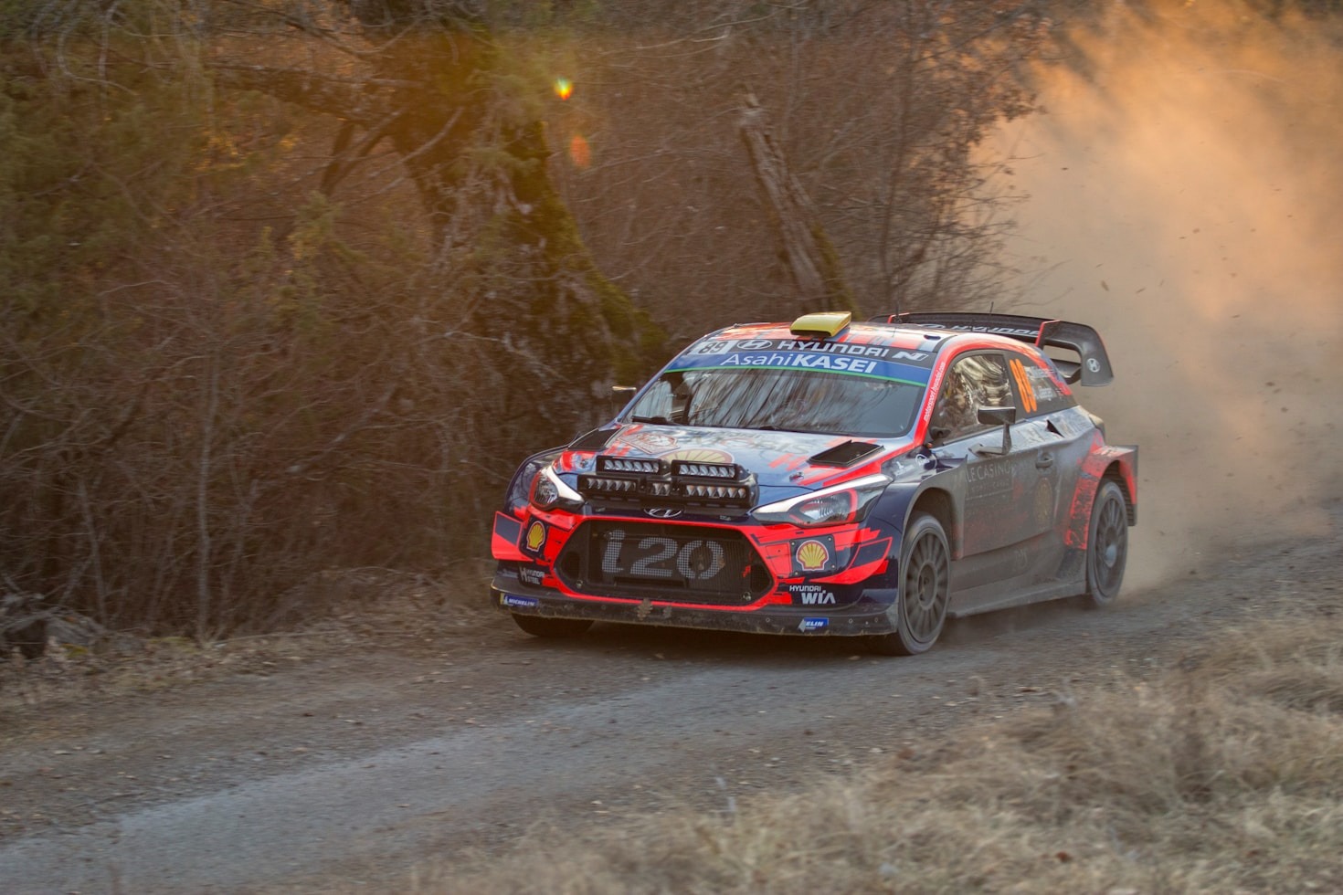 Navigating the Challenges of Rally Racing